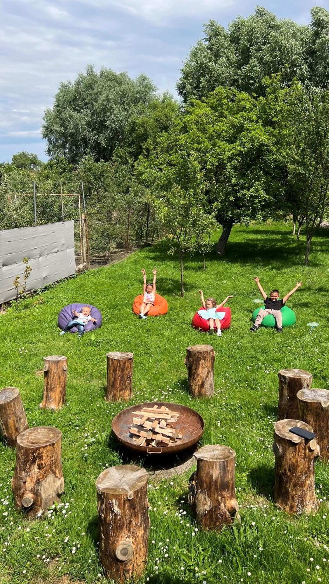Casa De Oaspeti Vulcan Vulcan  Eksteriør billede